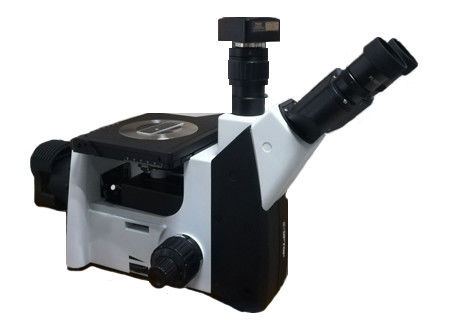 Kính hiển vi quang học đảo ngược 50X-1000X Luyện kim ba mắt WF PL10X