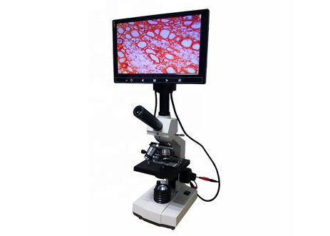 WF10X 2000X Phòng thí nghiệm Kính hiển vi sinh học Kính hiển vi kỹ thuật số LCD Phân tích tế bào máu