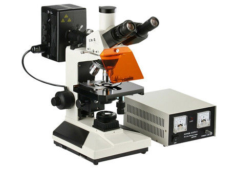 Kính hiển vi phòng thí nghiệm khoa học Epi-huỳnh quang Kính hiển vi ánh sáng 4X 100X Sinh học