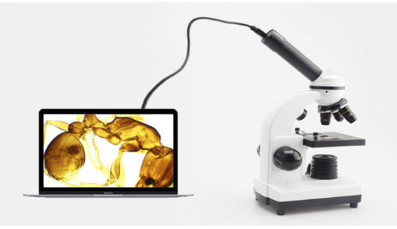 Kính hiển vi sinh học một mắt Drawtube dành cho sinh viên 640X ODM