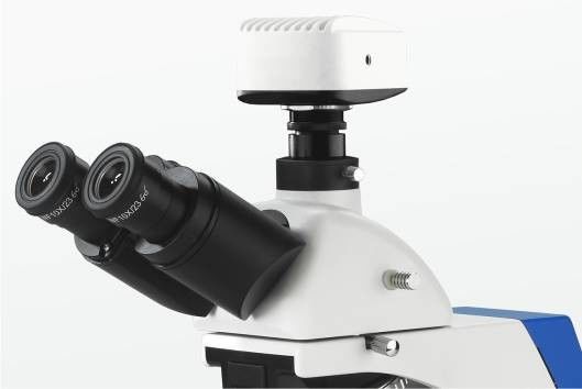 Tích hợp Kính hiển vi sinh học phân cực trường tối trong phòng thí nghiệm 4 Vị trí