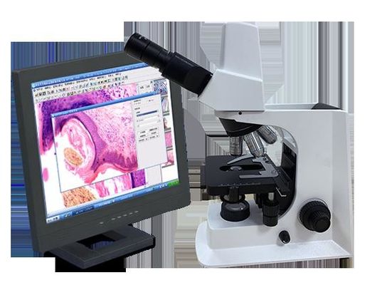 Kính hiển vi sinh học phòng thí nghiệm ba mắt màu trắng với giai đoạn cơ học