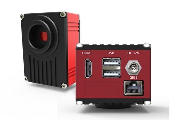 Máy ảnh kỹ thuật số kính hiển vi HDMI 60FPS với giao diện mạng Gigabit