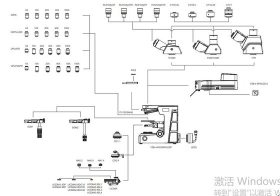 Kính hiển vi phòng thí nghiệm sinh học CMOS CCD 20MP Kính hiển vi nghiên cứu mục tiêu AOP